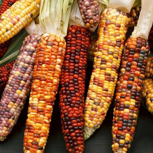   ,     ,               , 7 ,   245 