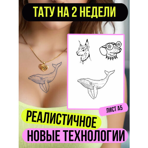 ���� ���� ���������� �������������� ��������, ������ �� 433 ���