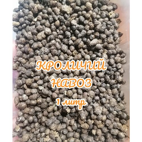 ���� ��������� 