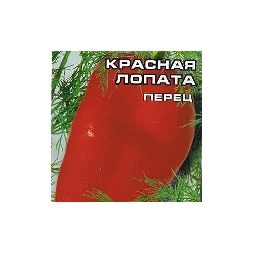 ���� ������������� ������ ����� �������� ������� ������, ������ �� 122 ���