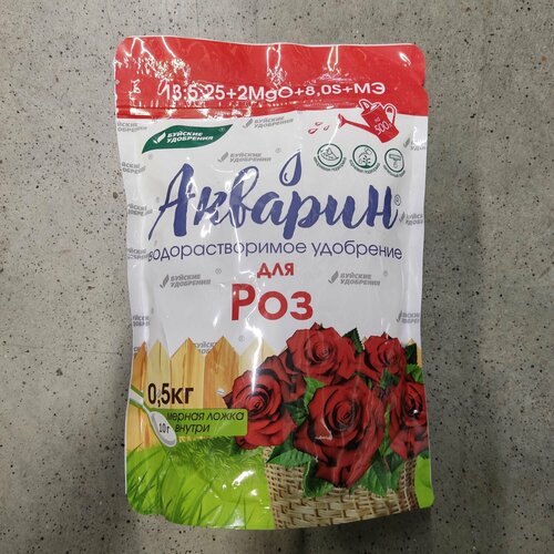 ���� ��������� ������� 