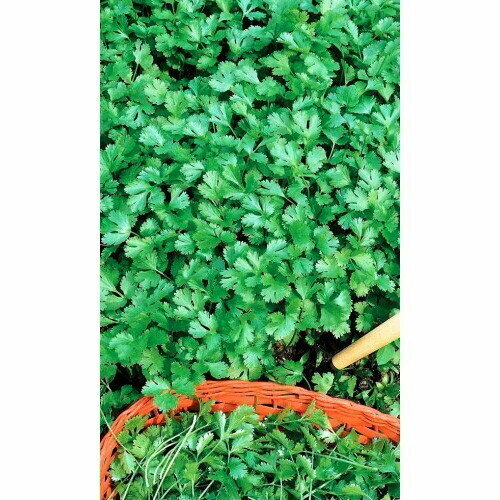 ���� ������ �������� (�����) �������� (��) 2�� �/�, ������ �� 64 ���