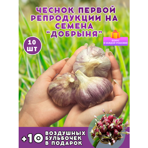 ���� ������ �� ������� 