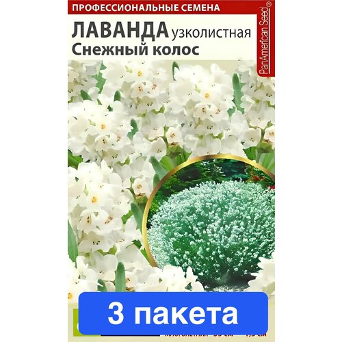 ���� ����� ������� ������� ����� ���������� 3 ������, ������ �� 815 ���