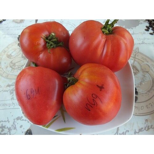 ���� ������������� ������ ������ ��������� �����������, ������ �� 102 ���