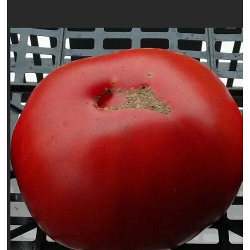 ���� ������������� ������ ������ ����������� ������, ������ �� 127 ���