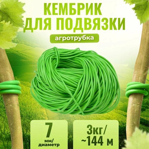 ���� ������� - ���������� ��� ��� �������� ���������, ������� � ������ �������� ������� 7 �� � ����� +- 3 �� - 144 ������, ������ �� 2769 ���