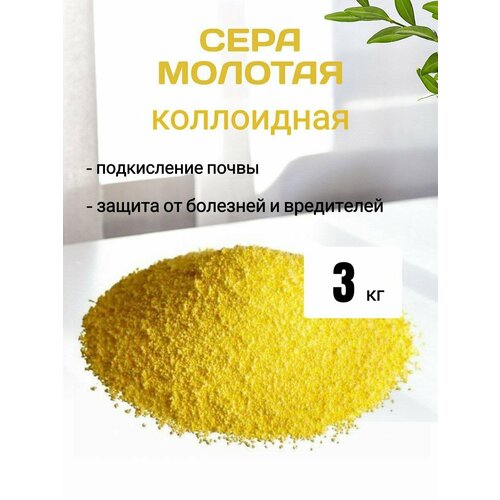 ���� ���� ������� 3 ��, ������ �� 645 ���