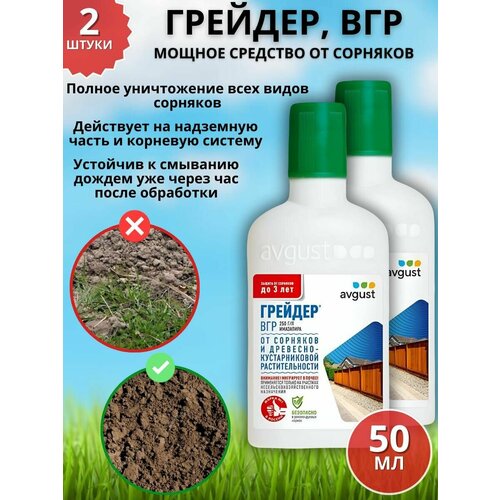 ���� ������ �������� �������� �� �������� �������, ��� 50 �� 2 ��, ������ �� 1579 ���