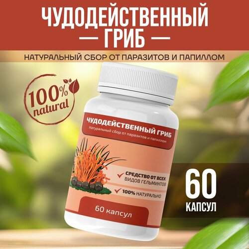 ���� ��������������� ���� ���� �� ��������� � ��������, ������ �� 610 ���