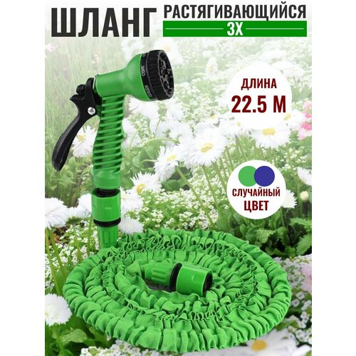 ���� ����� ������� ���������� ���������������, ������ �� 665 ���