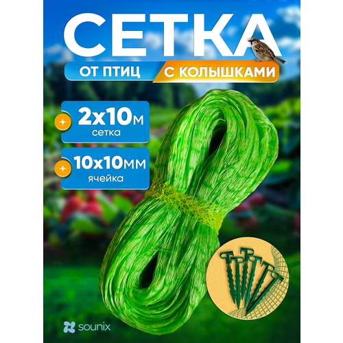 ���� ����� ������� ��� ������ ������ �� ���� 2�10 � � ��������� 6 �� �������, ������ �� 660 ���