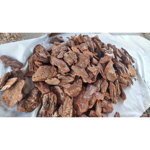 ���� ���� ����� �������� ����������� (GoldGard) 60 ������, ������ ������� 10+, ������ �� 1550 ���