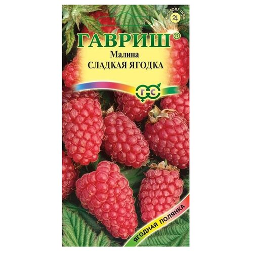 ���� ������ ������ ������� ������� ������ ������� ������ 10 ��., ������ �� 92 ���