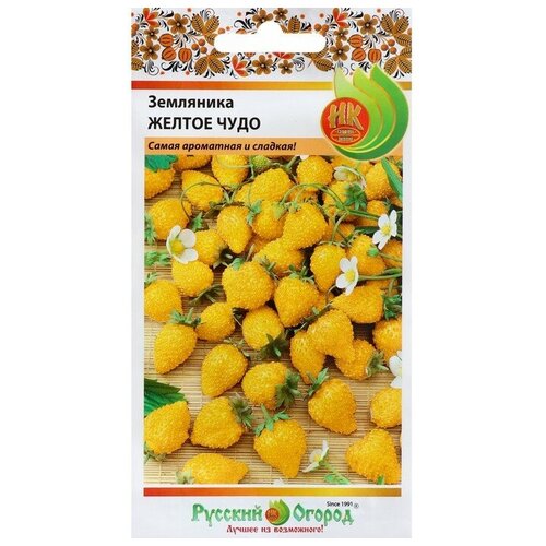 ���� ������ ��������� 