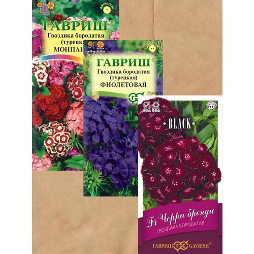 ���� ������ �������� ��������� (��������) ������ 3 ��.+ �������!, ������ �� 619 ���