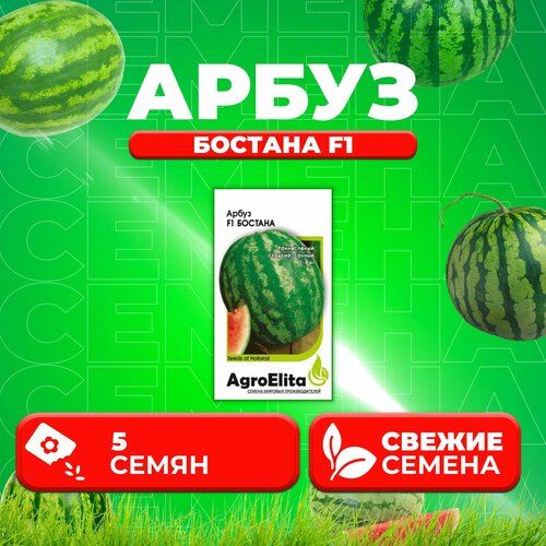    F1, 5, AgroElita (1 ),   387 