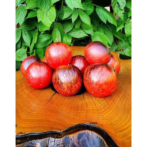 ���� ������ ������ ������� ������ �� ���-���-��-��������� (Pommed'or De Saint Jean De Beauregard) / Seeds And Goods / � �������� zip-lock ��� ���������� 10 �����, ������ �� 269 ���