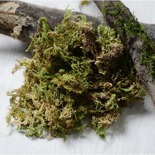 ���� ��� ��� ������ ��������� � ��������, ������ �� 514 ���