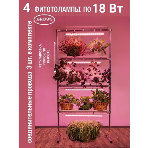 ���� ������� ��� �������� � ������ 4 ����� � ����������������� 18 �� c ��������������� ���������, ������ �� 7500 ���