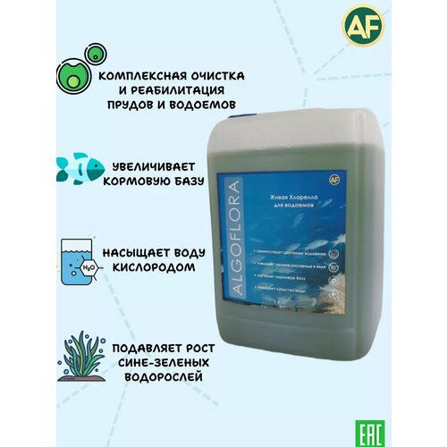 ���� �������� ��� ������� ������ � �������� 5 ������, ������ �� 1900 ���