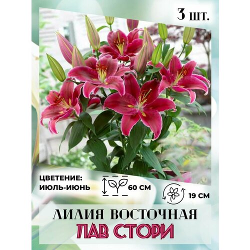 ���� ����� ��������� ��� �����, �������� 3 �����, ������ �� 410 ���