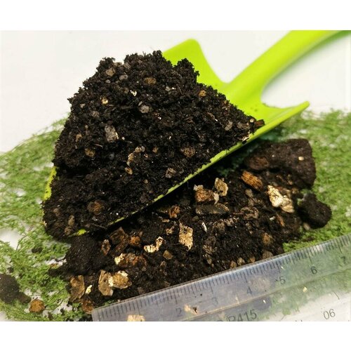 ���� �������� 