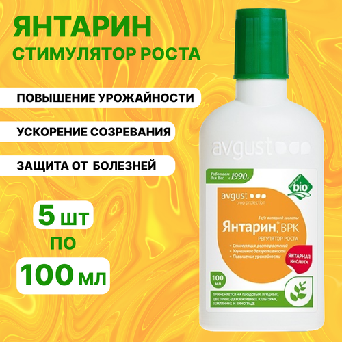 ���� �������, ������ �� 910 ���