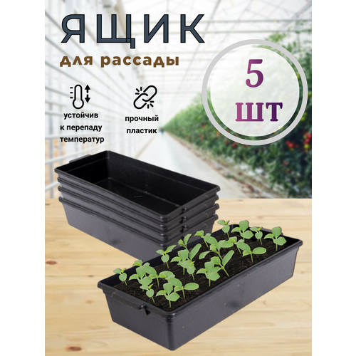     , 5 , 43*20*10 ,   588 