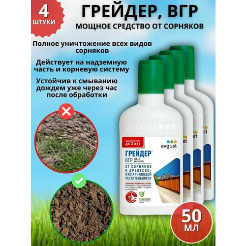 ���� ������ �������� �������� �� �������� �������, ��� 50 �� 4 ��, ������ �� 2939 ���