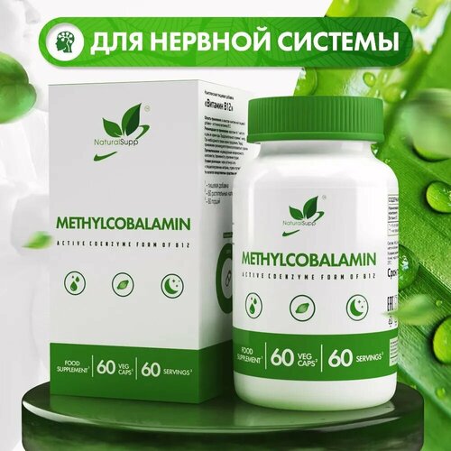 ���� �������������� ������� �12 NATURALSUPP Vegan Methylcobalamin Vitamin B-12 (60 ������), ������ �� 1285 ���
