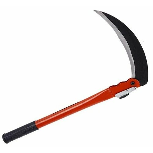 ���� ���� ��������, 30 ��, ������ �� 345 ���