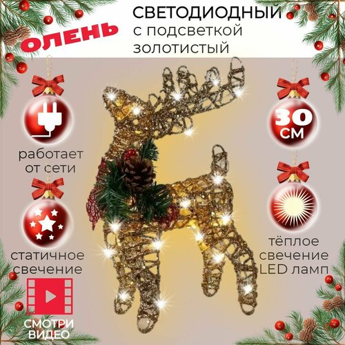 ���� ����� ������������ ���������� ��������� � ���������� 30 �� ���� ����������, ������ �� 1299 ���