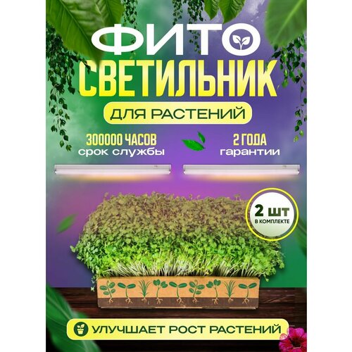 ���� �������������� ��� ��������, ������ �� 1390 ���