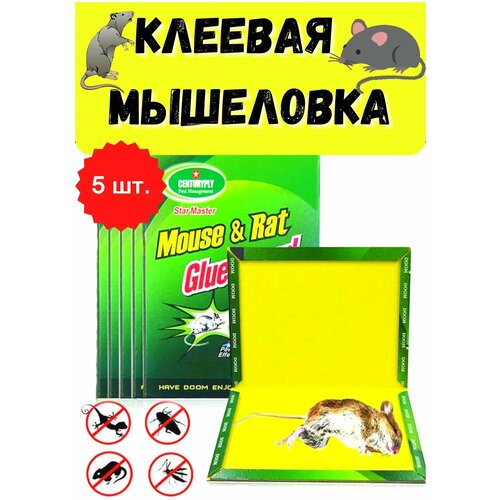        Mouse Trap,   5        -     , -, 