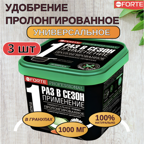  Bona Forte    TURBO    ,  1  3 ,   1206 