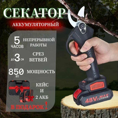 ���� ������� ������� 2 ���/ �������������� ������� ��� ������� �������� � ��������/ ������� ������������� �������, ������ �� 4881 ���