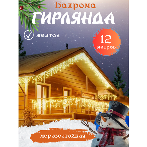 ���� �������� ������� �������, ������������ �������� �������, ��������������� ������� �� ����� ���, 12 ������, ������, ������ �� 1500 ���