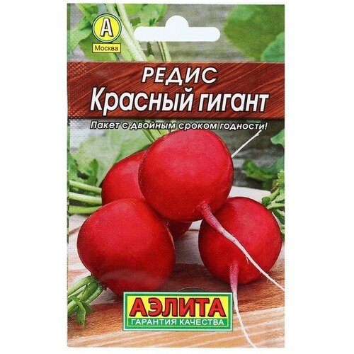 ���� ������. ����� 