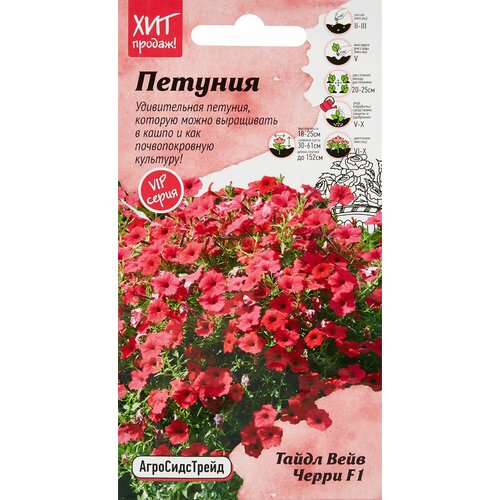 ���� ������ ������� ��������� 