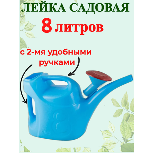 ���� ����� ������� 8�. ������, ������ �� 575 ���