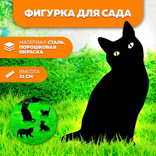 ���� ������� ������� ������������� ����� �5- ������� ��� ������ � ��������� - ������� ����� LifeSteel, ������ �� 640 ���