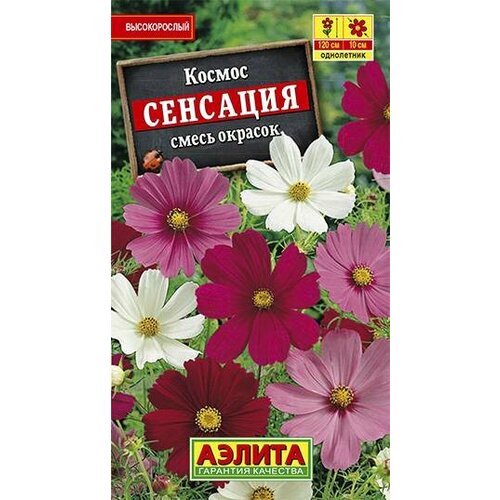     0,3    120  (),   44 