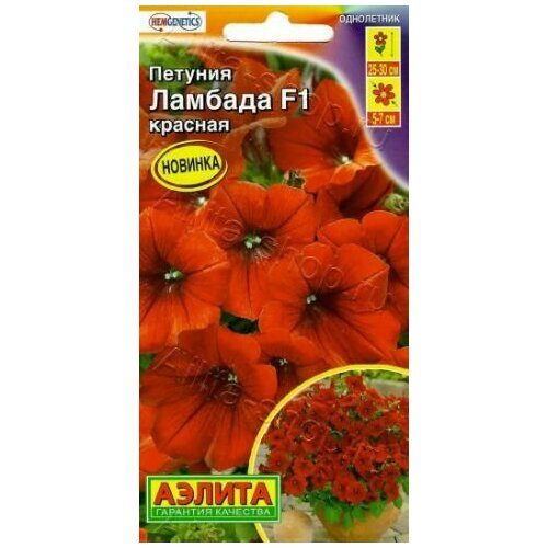 ���� ������� �������������� ������� ������� F1 ( 1 �������� ) , ������, ������ �� 269 ���