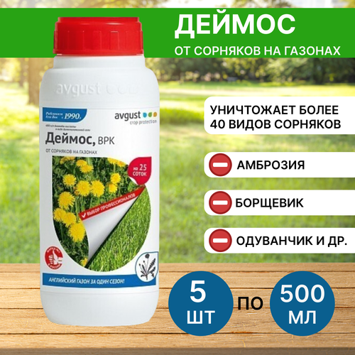 ���� Avgust �������� �� �������� ������ 500 ��, 5 ��, ������ �� 15396 ���