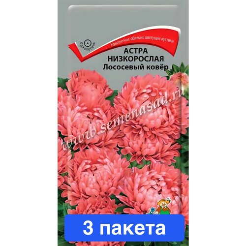 ���� ������ ������ ����� 