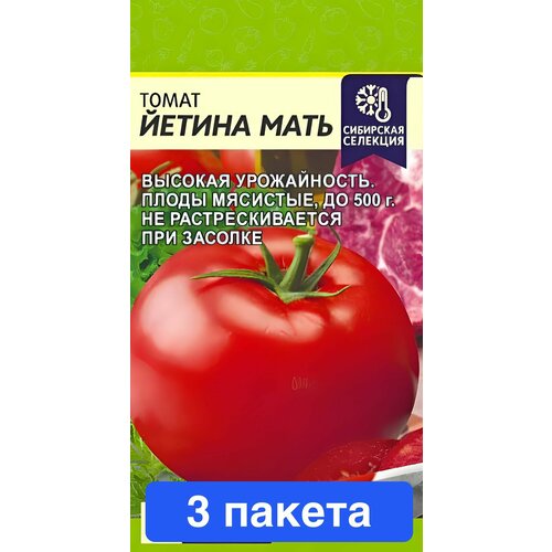 ���� ������ ������ ������ ����� 