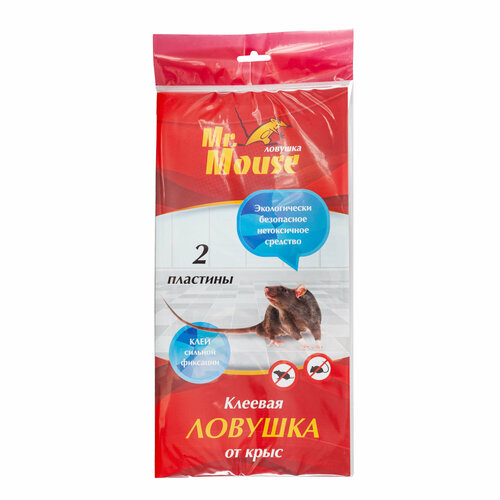 ���� ����������, �������� ������� �� ���� 2 ��, Mr. Mouse, ������ �� 335 ���