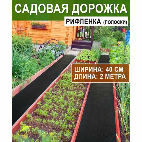 ���� ������� ������� ��������� 