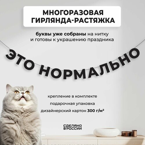 ���� ��������-�������� �������� ��� ��������� (160 ��) - ������ ����� � �������� ������� ���� ��� �������� ��������, ������ �� 800 ���